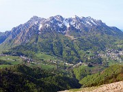 Al Rifugio Capanna 2000 ad anello: neve in scioglimento, fiori in crescita ! 30apr24- FOTOGALLERY